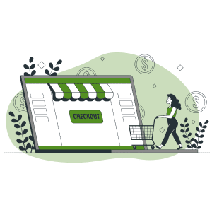 תהליך התשלום המקוון של nopCommerce